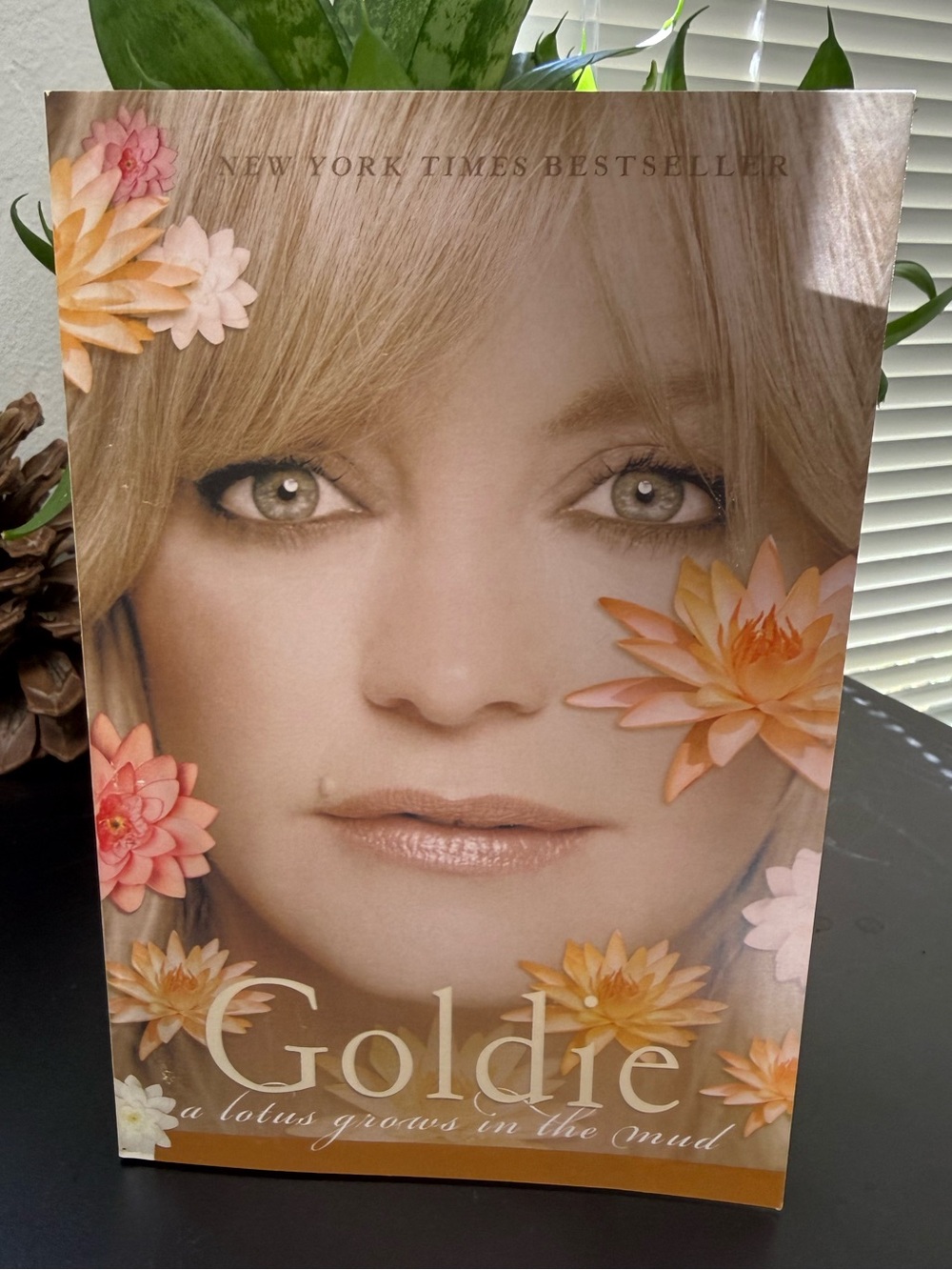 NWT Goldie Hawn "A Lotus Grows in the Mud" Memoir Book